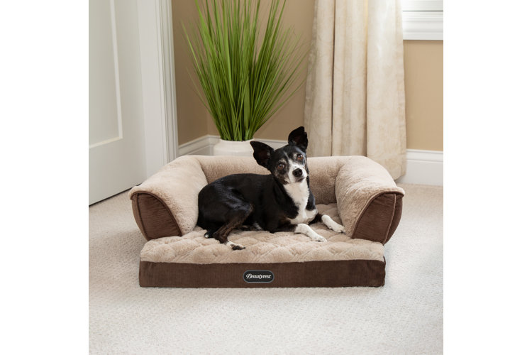 Dog beds shop odor resistant